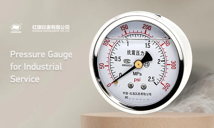 Pressure-Gauge-for-Industrial-Service-1 Pressure-Gauge-for-Industrial-Service-1