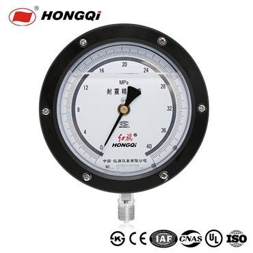 Hristiþolinn hánákvæmni þrýstimælir Olíufylltur jarðskjálftaþrýstingsmælir